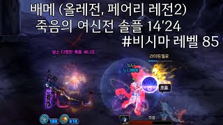 DnF) 배메 (페어리) 죽음의 여신전 솔플 14'24