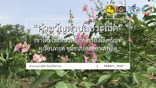 การคัดสรรกิจกรรมพัฒนาชุมชนดีเด่น ประจำปี 2566 ประเภทตำบลเข้มแข็ง : ตำบลประณีต อ.เขาสมิง จ.ตราด