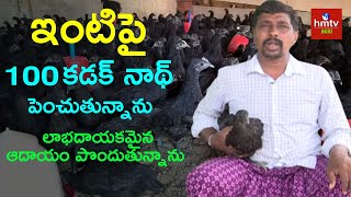 Kadak Nath Poultry Farming | Kadaknath Hen Farming on Terrace | hmtv Agri