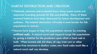 STAAR Science Tutorial 55 Human Dependence on Ocean Systems