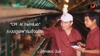 CPF AI FarmLab ระบบดูแลฟาร์มอัจฉริยะ - ปศุศาสตร์ นิวส์