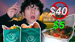 I TRIED MYSTERY BAG FOOD FROM RESTAURANTS *IS IT WORTH IT?* (TOOGOODTOGO)