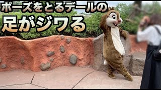 【ディズニーランド】ポーズをとるデールの足がジワる