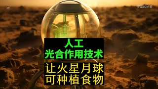 人工光合作用技术有望实现！火星和月球上种植食物不是梦了Artificial photosynthesis technology expected to be realized人工光合作用技術有望實現