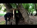 DIY Bushcraft Build a cozy secret shelter under a tall tree#bushcraft