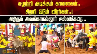 சுழற்றி அடிக்கும் காளைகள்.. சிதறி ஓடும் வீரர்கள்..!அதிரும் அலங்காநல்லூர் ஜல்லிக்கட்டு | Jallikattu