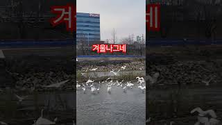 겨울나그네