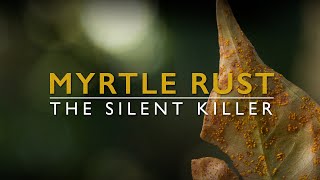 Myrtle rust, the silent killer