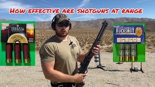 How Effective are Shotguns?