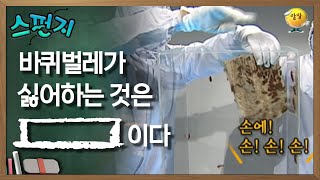 바퀴벌레가 싫어하는 건 [      ]이다.  [스펀지 레전드] | KBS 051008 방송