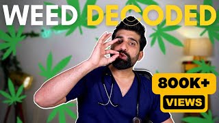 Smoking Weed Health Effects : Doctor explains 🍁