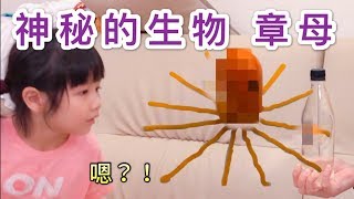 【妮妮成長日記3-6歲】家裡來了一隻非常有靈性又神秘的生物..「章母」！！！！