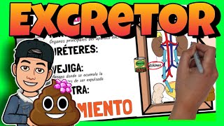 💩 El APARATO EXCRETOR para NIÑOS de PRIMARIA