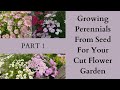 Growing Perennials From Seed For Your Cut Flower Garden