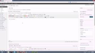 Ultimate Tinymce Pro Widget Builder