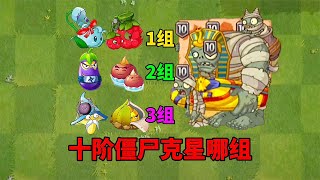 【pvz沙雕配音】双植物联动组合，谁才是十阶僵尸的克星？