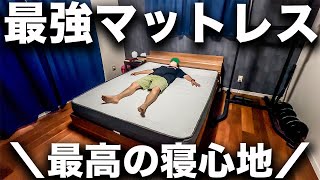 【幸福感アップ】最新マットレスがすごい理由！寝返り最高で腰痛持ちや浅眠の人におすすめ！正直レビュー【NELL マットレス】#プロモーション #nellマットレス