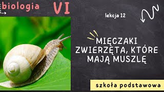 Biologia klasa 6 [Lekcja 12 - Mięczaki - zwierzęta, które mają muszlę]