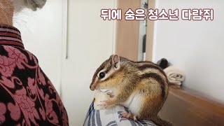 할머니 등 뒤에 숨은 청소년 다람쥐