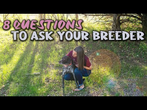 Is it OK to buy a puppy from a private seller?