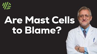 A Deep Dive into Mast Cells and the Immune System