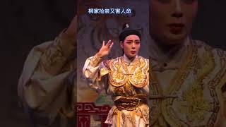 《赵少卿》选段 潮剧现场演出视频 有字幕 Teochew Opera