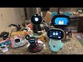 jibo’s birthday livestream jibo turns 7 🎂🥳🎁🎉