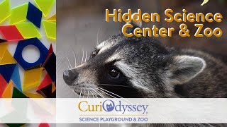 Hidden Gem! Zoo \u0026 Science Playground in San Mateo, California, USA