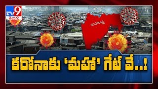 Why Maharashtra has India’s highest Covid-19 mortality numbers - TV9