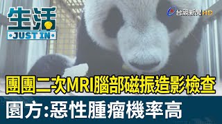 團團二次MRI腦部磁振造影檢查 園方：惡性腫瘤機率高【生活快訊】