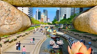 [4K SEOUL] 광화문의 봄 | Gwanghwamun is now full of spring vibes and spring scents (Binaural City Sounds)