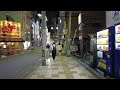 日本橋の路地 ～夜のオタロードと赤裏筋～ osaka nipponbashi alley 4k