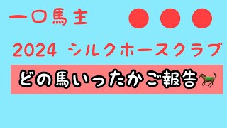 【一口馬主】シルクどの馬いったか報告いたします