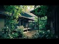 平靜午後calm afternoon music｜看著庭院的綠意，用音樂療癒自己，讓煩雜的思緒隨之消散