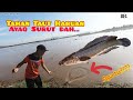 Tahan taut haruan air dah surut ll Cara tangkap ikan haruan