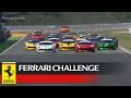 Ferrari Challenge Europe, Valencia 2017 - Trofeo Pirelli - Race 1