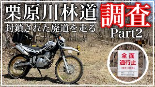 2024年現在の栗原川林道 調査！[ロングダート]Part2