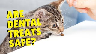 Dental Treats for Cats - Do They Work? | Two Crazy Cat Ladies