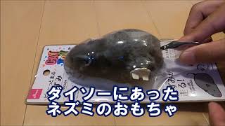 ダイソーで猫のおもちゃ売ってた