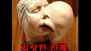 영강TOP랭킹) 세계에서 가장 괴상한 신체를가진 12인