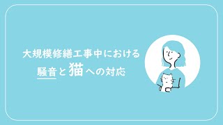 【大規模修繕工事中における騒音と猫への対応について】＃株式会社セラフ榎本 ＃大規模修繕工事 ＃マンション ＃騒音 #猫  ＃ペット