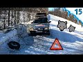 Trapped among wolves - again a problem! (OYMYAKON Part 15.)