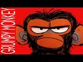 GRUMPY MONKEY Read Aloud Book for Kids