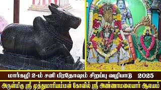 சனி மகா பிரதோஷம் ஸ்ரீ முத்துமாரியம்மன் கோவில் ஸ்ரீ அண்ணாமலையார் சுவாமி ஆலயம் #sivan #sivantemple