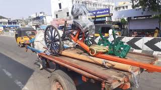 Local transport with bullock cart. #kangayambull #agnicart #agnicartlogistics #tnau #tbiabistnau