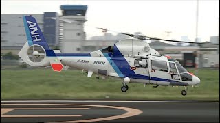 【ヘリコプター】 小雨降る中 離陸するヘリ Aerospatiale SA365/AS365/565 Dauphin 2  （オールニッポンヘリコプター ）「NHK取材用ヘリ」・東京ヘリポート