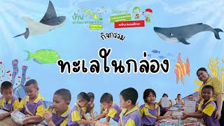 ทะเลในกล่อง | กิจกรรมบ้านนักวิทยาศาสตร์น้อย ระดับประถมศึกษาปีที่ 2