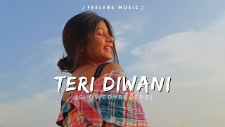 Teri Deewani | [Slowed+Reverb] | Feelers Music