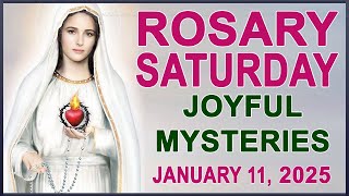 The Rosary Today I Saturday I January 11 2025 I The Holy Rosary I Joyful Mysteries