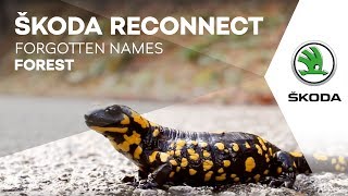 ŠKODA RECONNECT: Forgotten Names - Forest